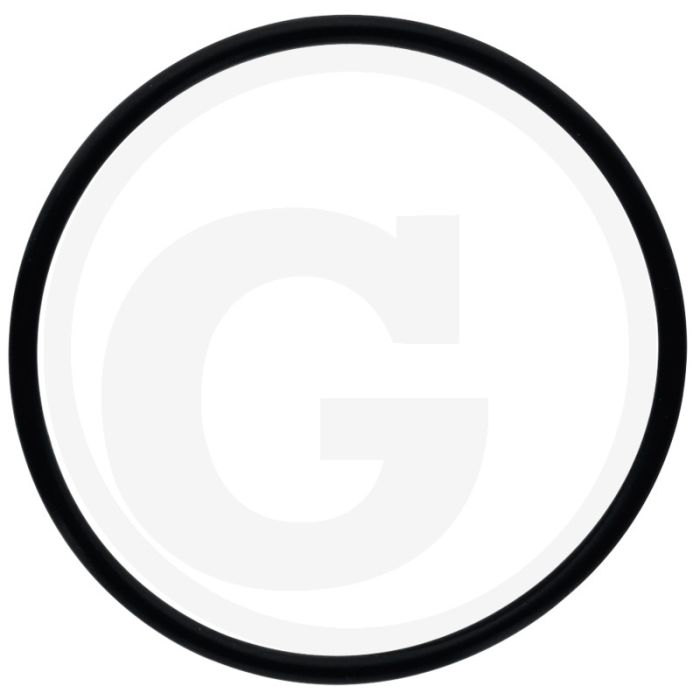 O-ring (voorwielaandrijving,  Ø: 72,62 x 3,53 mm)