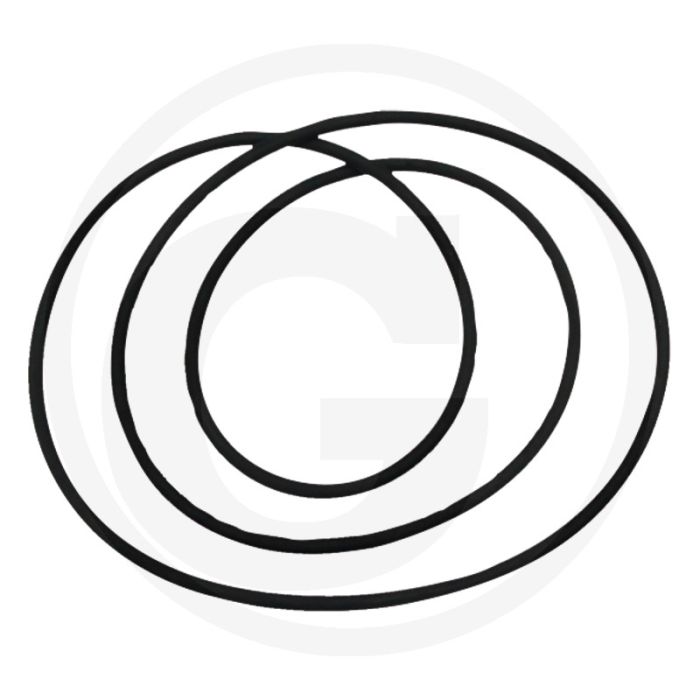 O-ring (305 x 4 mm) O-ring (305 x 4 mm)