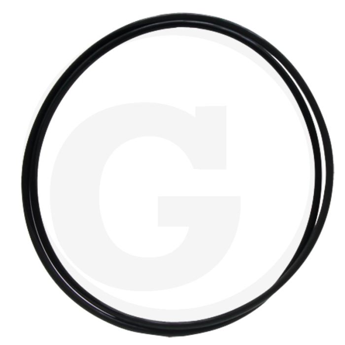 O-ring (Ø 9,98" x 0,14",  Viton (hittebestendig))
