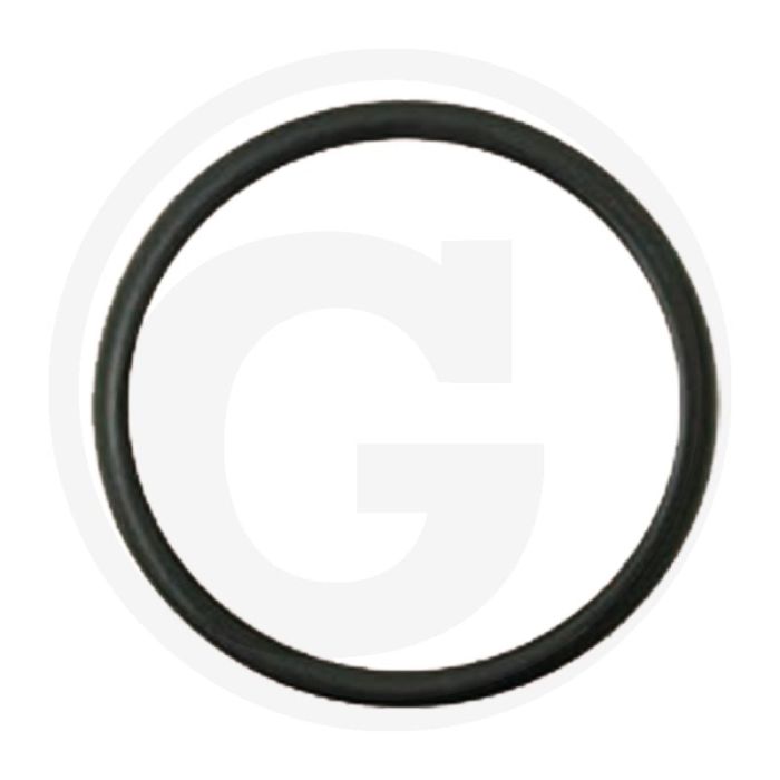 O-ring (voor zuiger,  Ø: 282 x 3,75 mm)