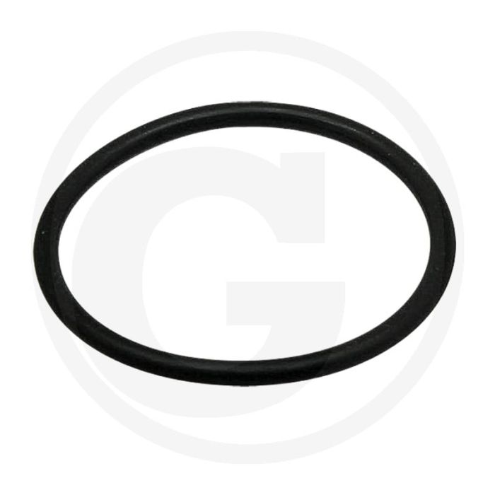 O-ring (voor filterhuis) O-ring (voor filterhuis)