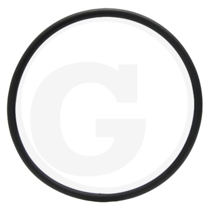 O-ring (voor cilinderbuis)