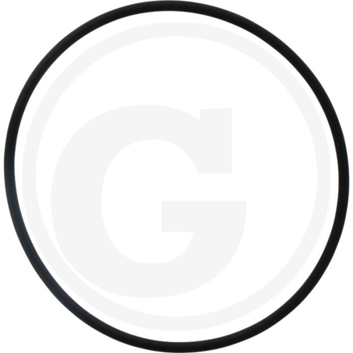 Afdichtring (voor zuiger)