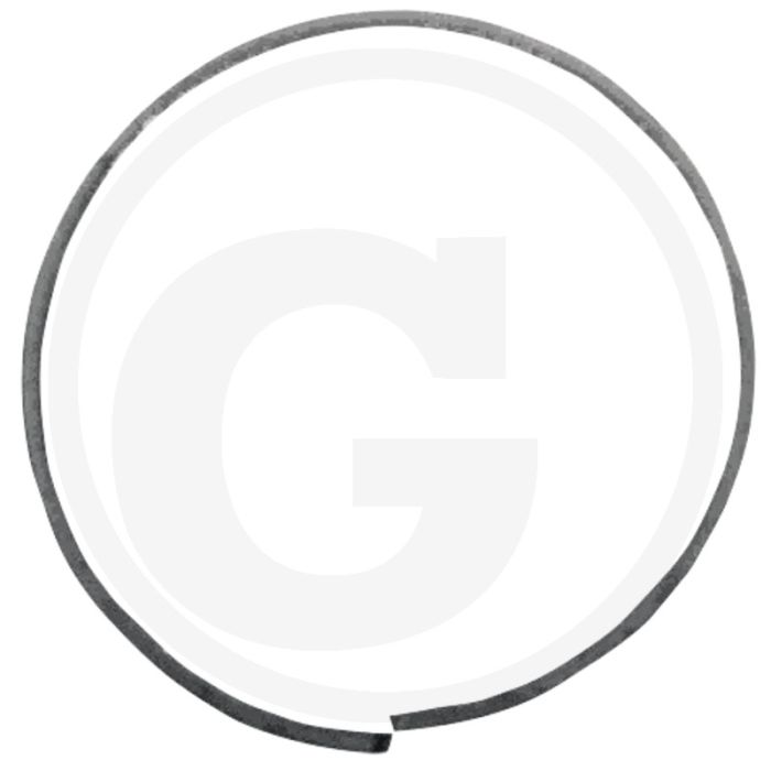 Afdichtring (voor zuiger)