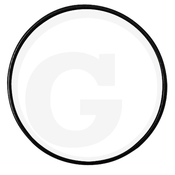 O-ring O-ring