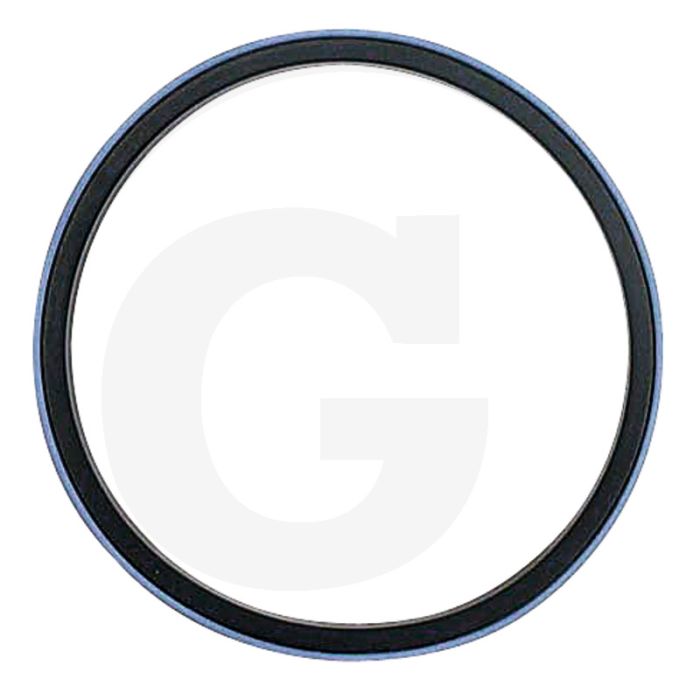 Afdichtringset (voor 100 mm zuiger)