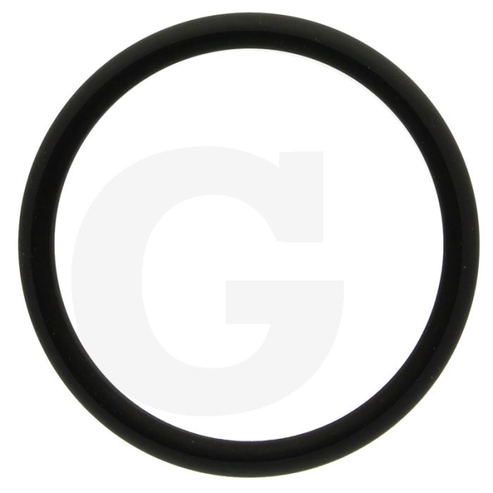 O-ring (voor tussenstuk van thermostaathuis)