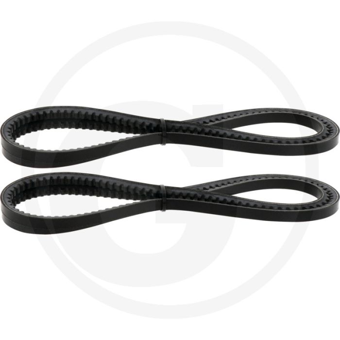 V-snaarset (2 stuks, bij luchtdruksysteem)