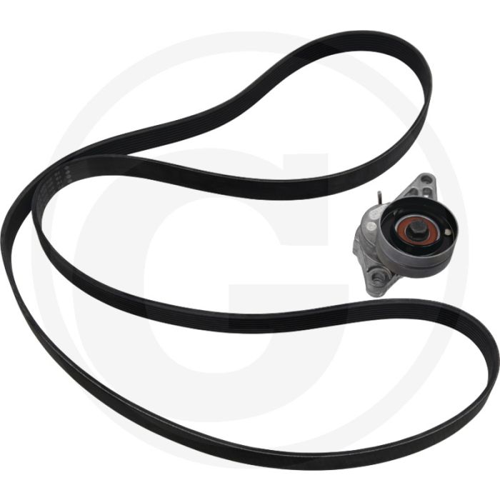 Ina Multiriem-set 8-ribs riem 2205 mm inclusief riemspanner