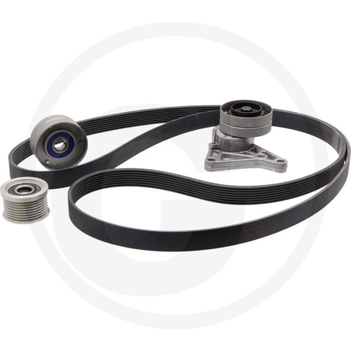 Ina Multiriem-set 8-ribs riem 2515 mm