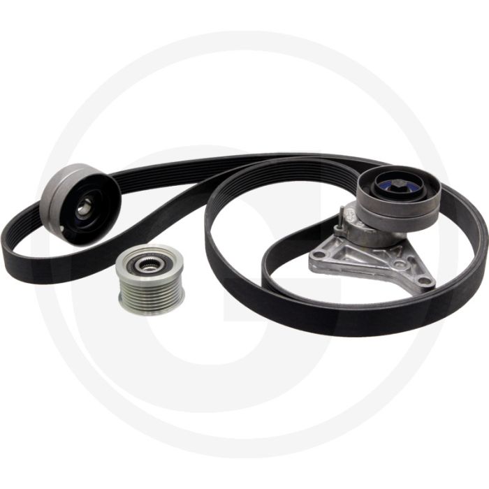 Ina Multiriem-set 8-ribben riem 2505 mm