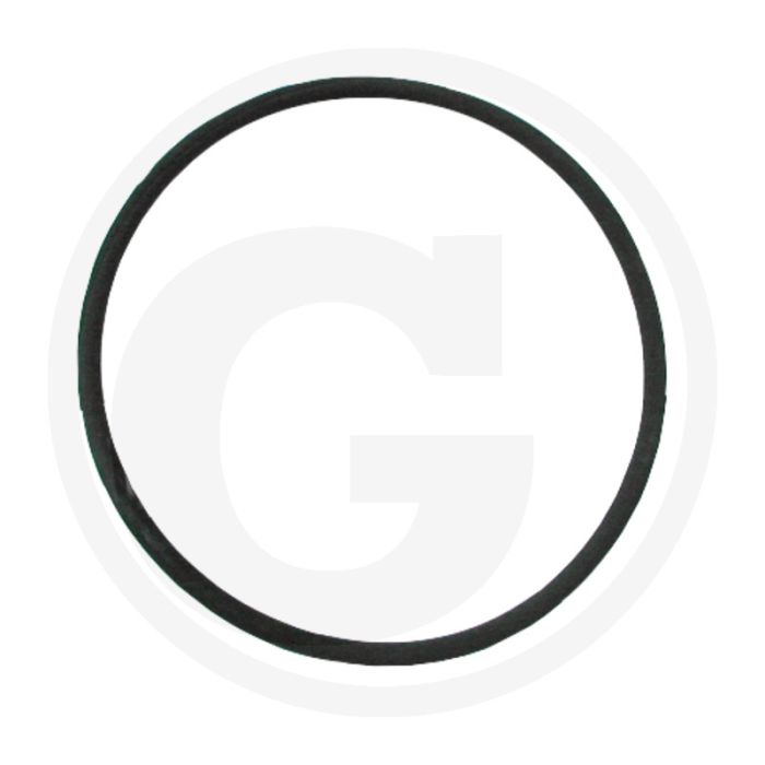 O-ring (Ø: 4,75 mm)