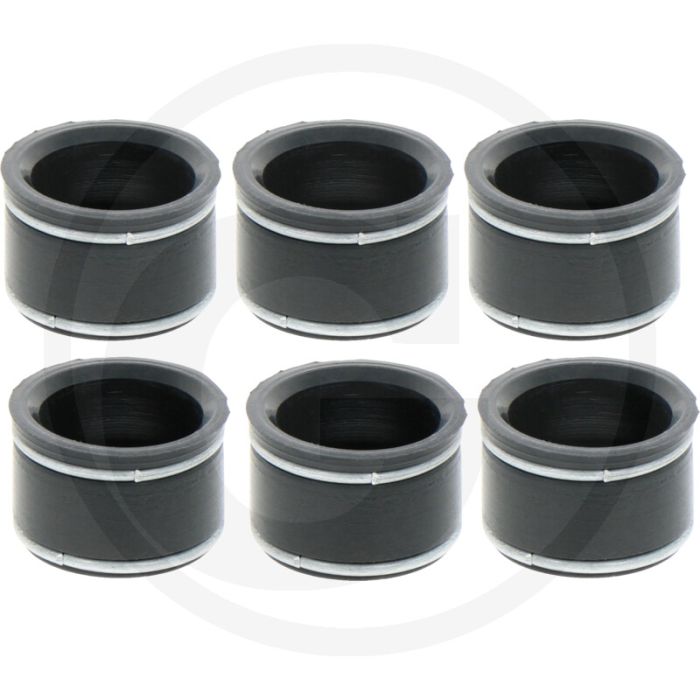 Victor Reinz Klepafdichtingset ((6 stuks))