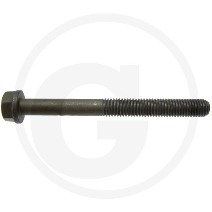 Cilinderkopbout lengte 120 mm