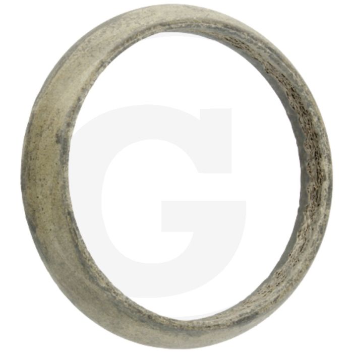 Ring (voor uitlaatsysteem)