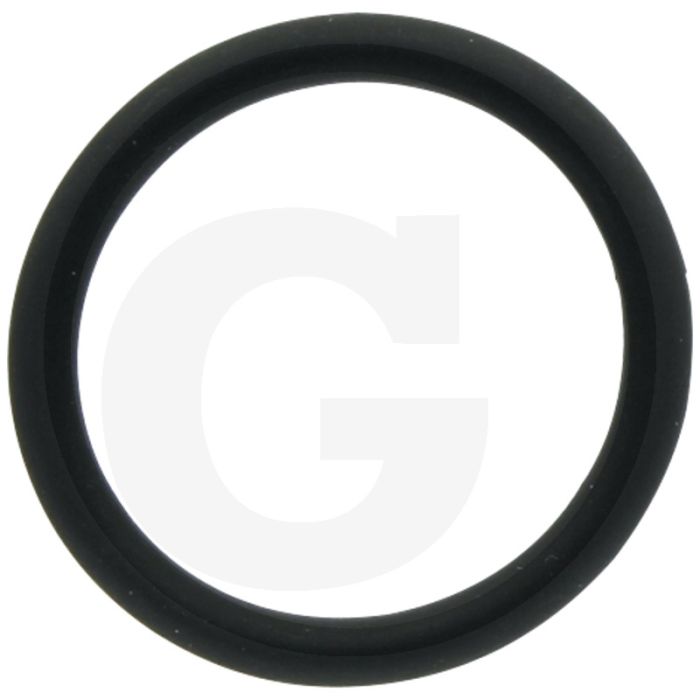 Afdichtring (voor injector)