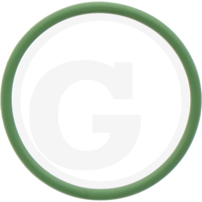 O-ring (voor uitlaatterugvoerklep,  Ø 37,77 x 2,6 mm)