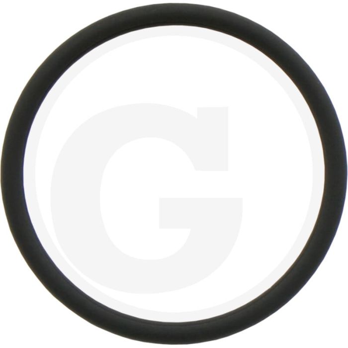 O-ring (21,946 x 1,778 mm)