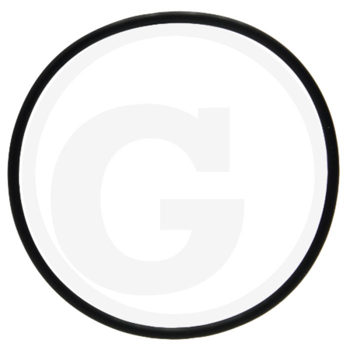 O-ring (voor montagedeksel)