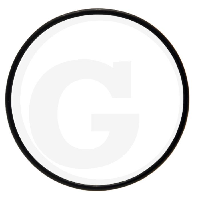 O-ring (voor montagedeksel)