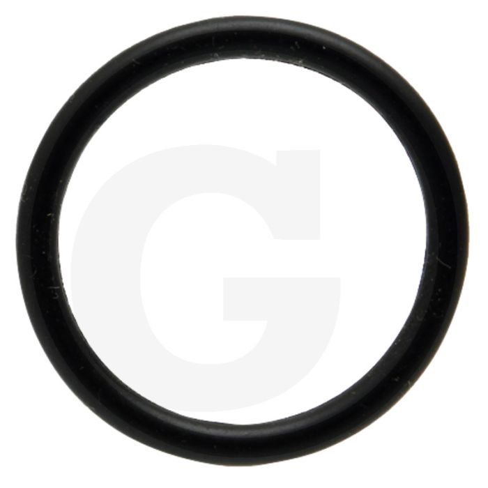 O-ring (29,743 x 3,531 mm)
