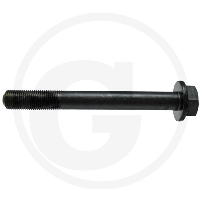 Cilinderkopbout 1/2" x 120