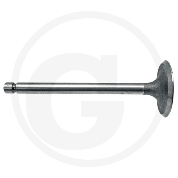 Soupape d'admission Massey Ferguson FE 35, 835