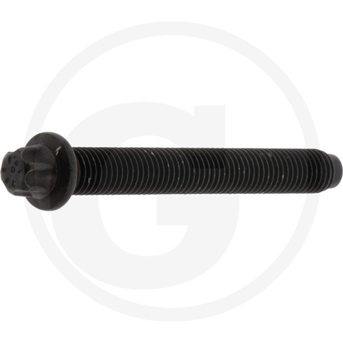 Cilinderkopbout M12 x 100