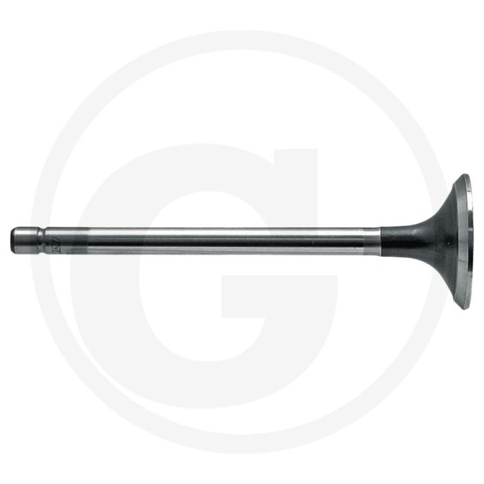 Uitlaatklep New Holland TD/TL