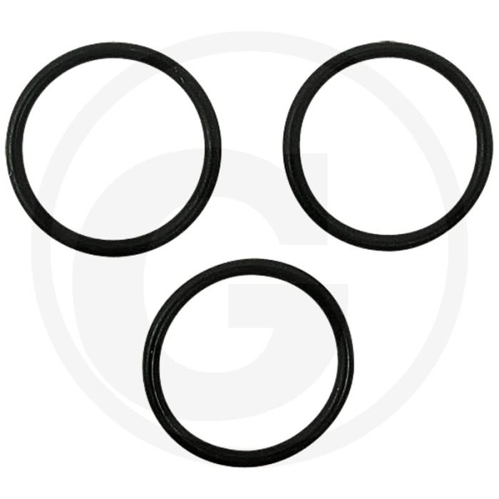 Afdichtset (voor flensoppervlak Aanbouwstuurventiel 85219009)