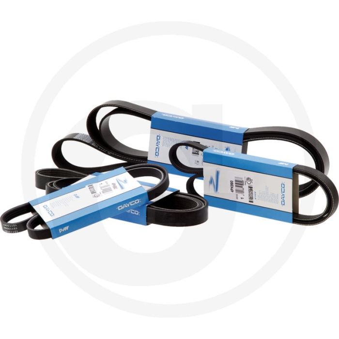 Dayco Powerband 1600 mm 8 ribben Heavy Duty