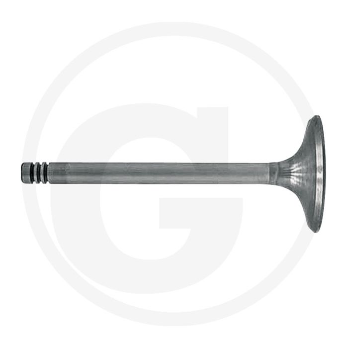 Soupape d'admission 117 mm, diamètre de la tête de soupape 47 mm