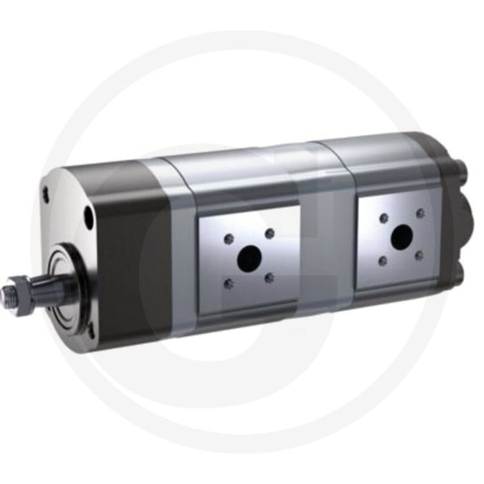 Bosch/Rexroth Pompe double (rotation à gauche)