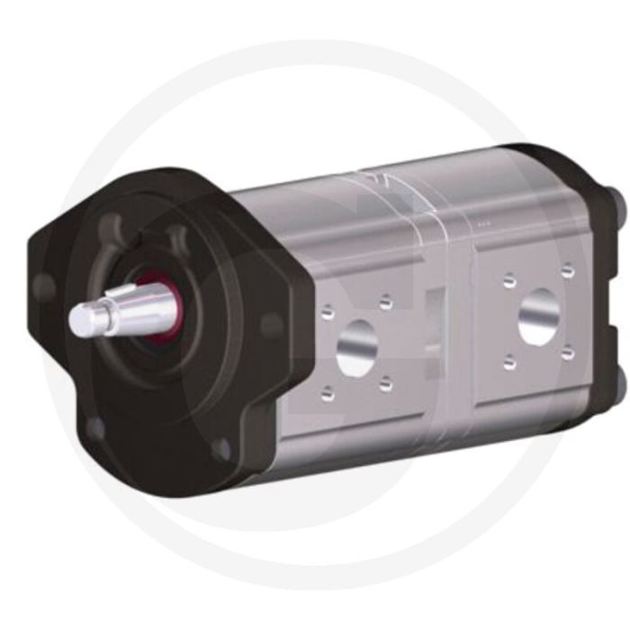 Bosch/Rexroth Pompe double (rotation à gauche)