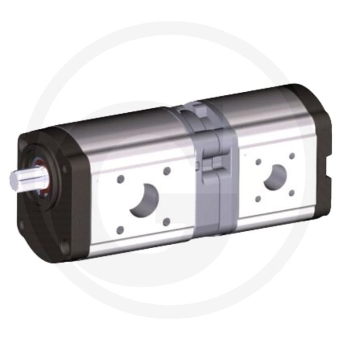 Bosch/Rexroth Pompe double (rotation à gauche)