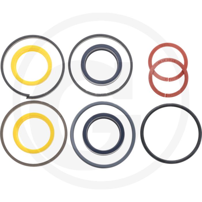 Carraro SEAL KIT Bremszylinder und Lenkgetriebe