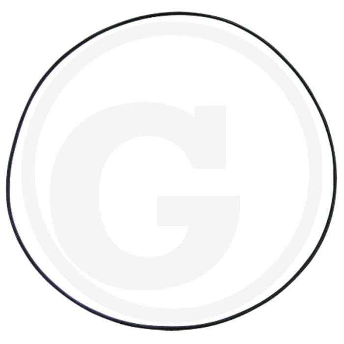O-ring O-ring