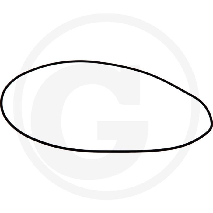 O-ring (Planeetdrager) O-ring (Planeetdrager)