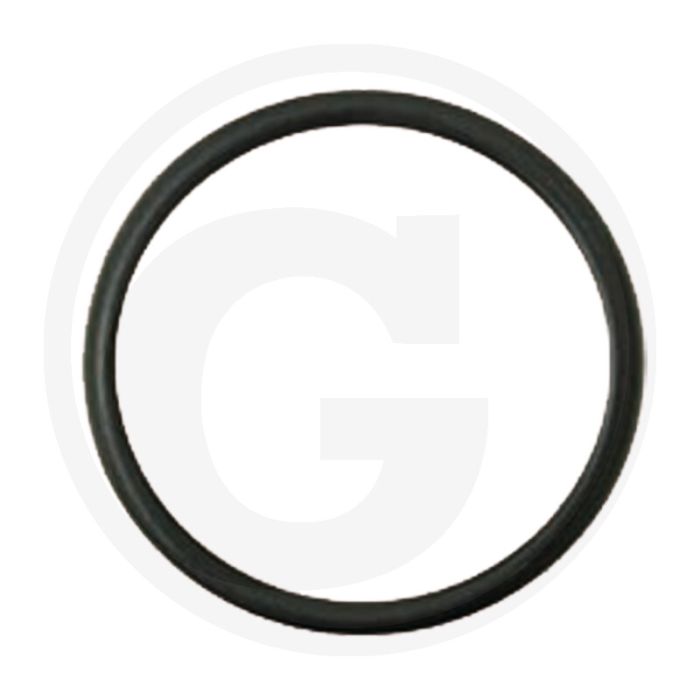 Dichtring (Ölpumpe)