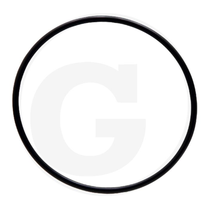 Dichtring (Zylinderdeckel)