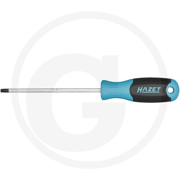 Hazet Schroevendraaier - TORX? 811-T20 T20 100 mm