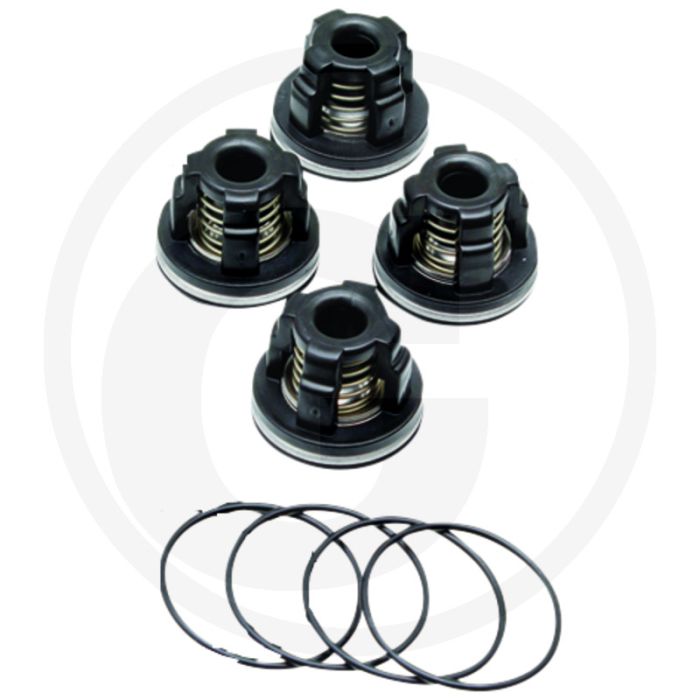 Annovi Reverberi Ventilsatz Bp 70 (O-Ring 670320030 Ventil 670759054)