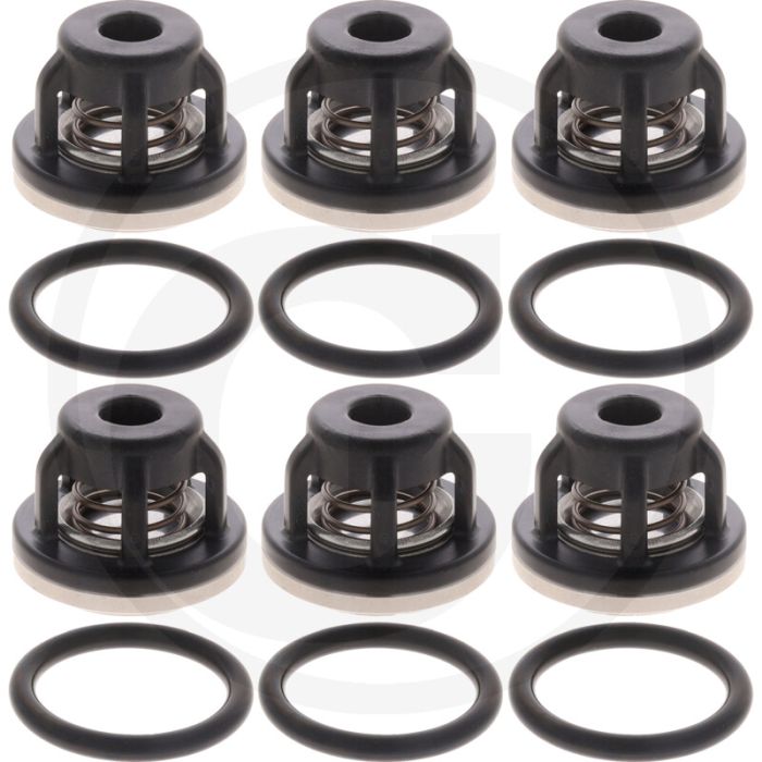 Annovi Reverberi Ventil Satz Bp 115-135 (O-ring 670320030 klep 670759054)