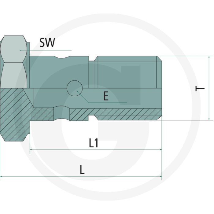 Holbout BSP 1/2" Holbout BSP 1/2"
