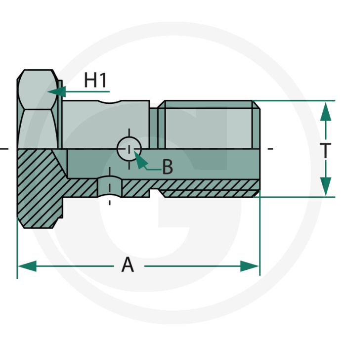 Holbout BSP 1/4"