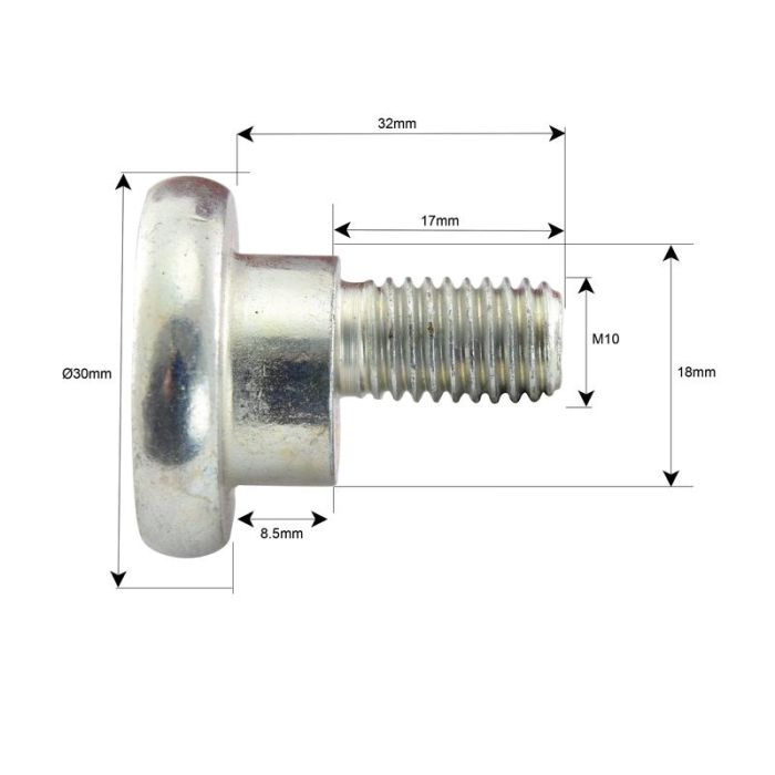 Mesbout + moer- M10x32mm -  Vervanging voor Vicon