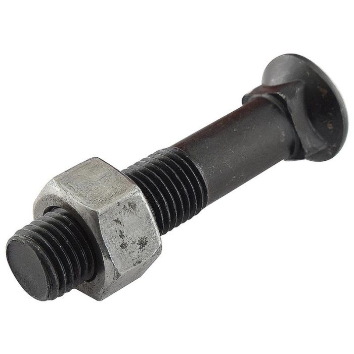 Ploegbout M12 x 60 8.8 zwart + moer 25 stuks Doos
