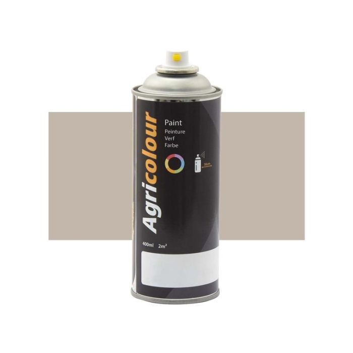 Verf - glans, Pebble Grijs 400 ml spuitbus (RAL 7032)