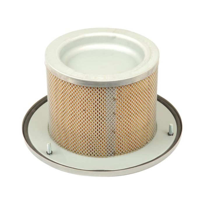 Luchtfilter Binnen - AF25334 -