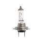 Gloeilamp, 12V, 55W Watts,  Voet (Blauw)